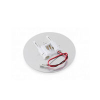 LED 42 Round Replacement Globe 12V Cool White 0315514
