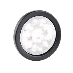 Reversing Lamps 110WMG