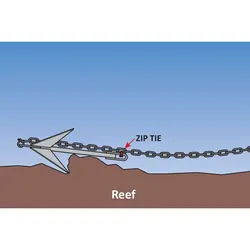 Anchor Mooloolaba Pick 4Lbs