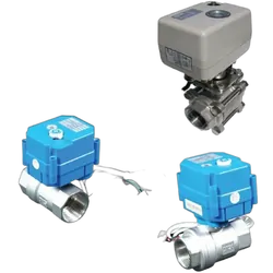 BLA Electrical Actuated S/S Ball Valve 1" Bsp 1" Bsp 24V