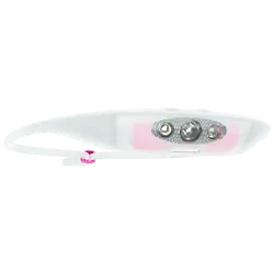 Bandicoot Run 250 Lumen Headlamp Lime