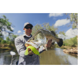 Berkley PowerBait Cullshad Magnum Soft Plastic 6inch Fire Tiger