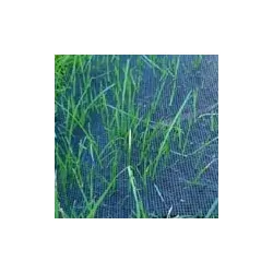 Coast To Coast Enduromat Forest Green 1x x 1.225m