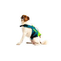 Jobe Pet Life Jacket Lime Teal -XL