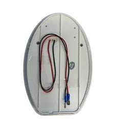 Coast To Coast Teardrop LED Assist Handle w/ 12v Light - Ip67 White