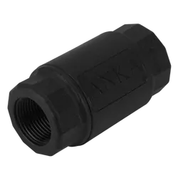 1' Bsp Non-Return Valve