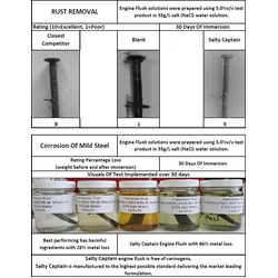 Salty Captain Engine Flush Wash 1L