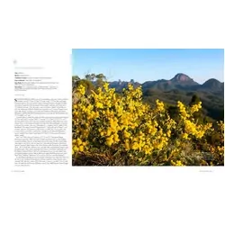 Australian Geographic Travel Guide : National Parks