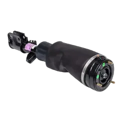 Front RH Air Strut - To Suit LAND ROVER RANGE ROVER L322 (LM) 02-06 - Standard Height