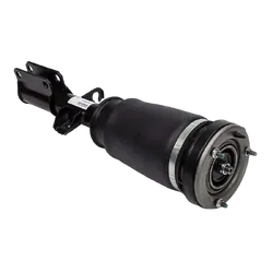 Front RH Air Strut - To Suit BMW X5 E53 99-06 - Standard Height