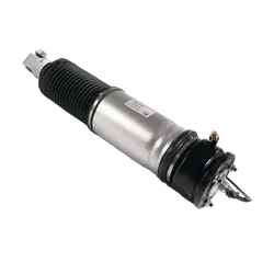 Rear LH Air Strut - To Suit BMW 7 Series (E65/E66) 01-08 With EDC 2001-08 - Standard Height