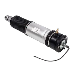 Rear RH Air Strut - To Suit BMW 7 Series (E65/E66) With EDC 2001-08 - Standard Height