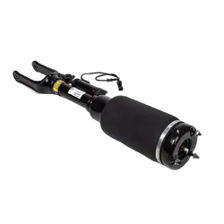 Front Air Strut - To Suit Mercedes Benz - R-Class (W251) for MERCEDES-BENZ R-CLASS W251 & V251 05-12 - Standard Height