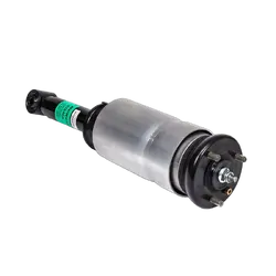 Front Air Strut - To Suit LAND ROVER RANGE ROVER SPORT L320 (LS) with ACE 05-13 - Standard Height