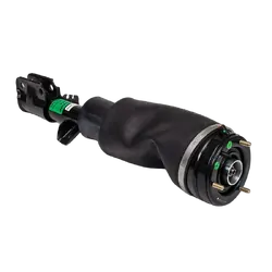 Front RH Air Strut - For LAND ROVER RANGE ROVER L322 (LM) 06-12 L322 Petrol (RNB 501520) - Standard Height