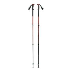 Black Diamond Trail Trekking Poles - Pine Smoke