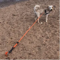 Ground Dogs Beach Pet Restraint Kit - without lead