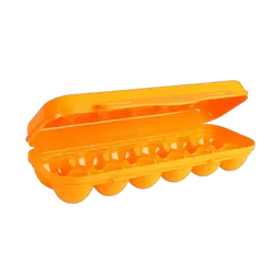 Wildtrak Egg Storage Container Holds 12 Eggs 30 X 11Cm