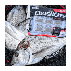 Rapala Crush City Trickster 1.5" Soft Plastic Black Nightmare