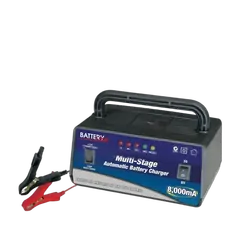Battery Link Battery Charger 8000ma