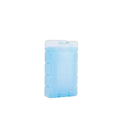 Coleman Ice Brick Medium