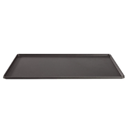 Coleman Accessory Stove 2-Burner Triton Griddle (1346896)