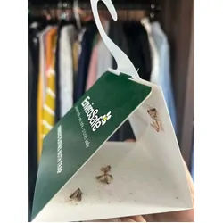 Envirosafe Domestic Clothes Moth Trap 2PK
