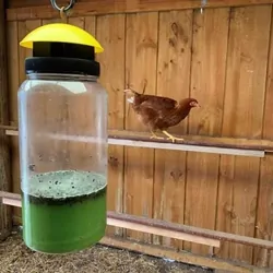 Envirosafe Jumbo Fly Trap