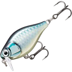 Rapala X-Light Finesse Crank Shallow Runner 3.5cm Baby Aspius
