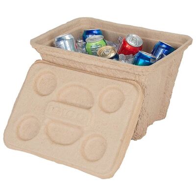 Igloo Cooler - Recool Disposable Icebox