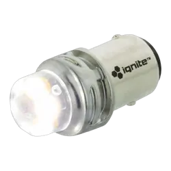 Ignite Ba15S White 12/24V 900 Lumens (Pkt2)