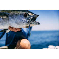 Nomad Design Ridgeback 10 LC 10g - 1/3oz - SGM - Silver Green Mackerel