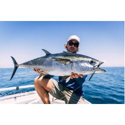 Nomad Design Ridgeback 60 LC 60g - 2oz - BB - Brown Bait