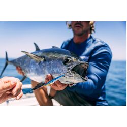 Nomad Design Ridgeback 80 LC 80g - 3oz - SAR - Sardine