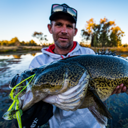 Rapala Rap-V Pike Bladed Jig 21G Baby Bass