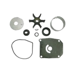 Sierra W/Pump Kit BRP