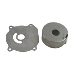 Sierra Cup And Plate Assembly BRP Water Pump