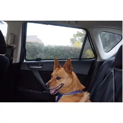 Mazda 3 Hatchback 2nd Generation Port Window Shades (BL; 2009-2013)