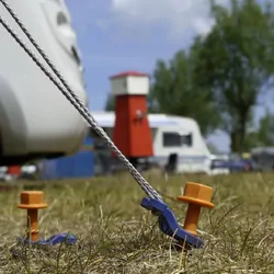 PEGGY PEG Standard Screw-In Peg - 200 mm (L) - Pack Of 12