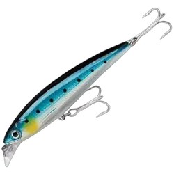 Rapala Saltwater X-Rap 10cm Blue Sardine