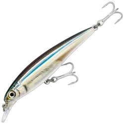 Rapala Saltwater X-Rap 12cm Anchovy