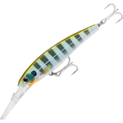 Rapala Saltwater X-Rap Deep 11cm Bluegill
