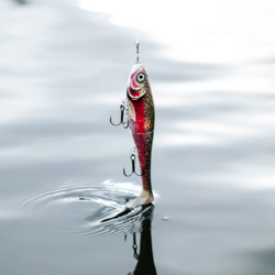 Rapala X-Rap Peto 14cm How Psycho