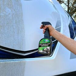 Walex Mould & Mildew Remover