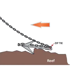 Anchor Mooloolaba Pick 4Lbs