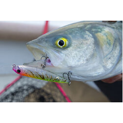 Berkley Pro-Tech Slurp Lure 85mm Peach Face