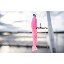 Gulp Shrimp Soft Plastic 2inch Red Belly Shrimp