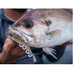 Gulp Turbo Shrimp Soft Plastic 2inch Nuclear Chicken