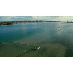 Berkley PowerBait Sandworm 4inch Soft Plastic Watermelon Red