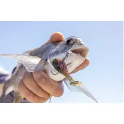 Berkley PowerBait HoneyBall Soft Plastic 40mm Lime Ice